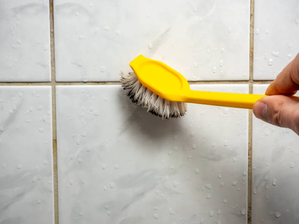  Henryetta, OK Mold Removal Pros