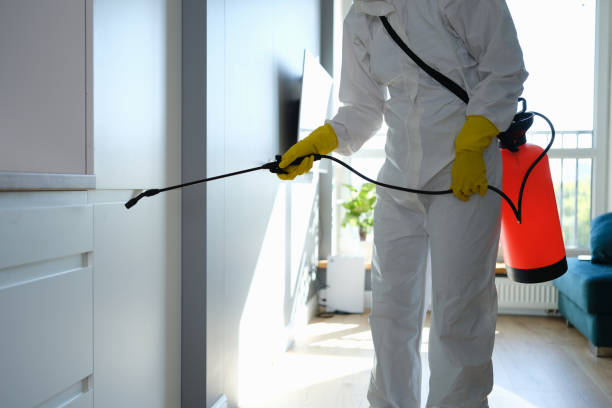 Best Mold Remediation  in Henryetta, OK
