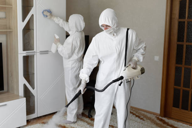 Certified Mold Removal in Henryetta, OK