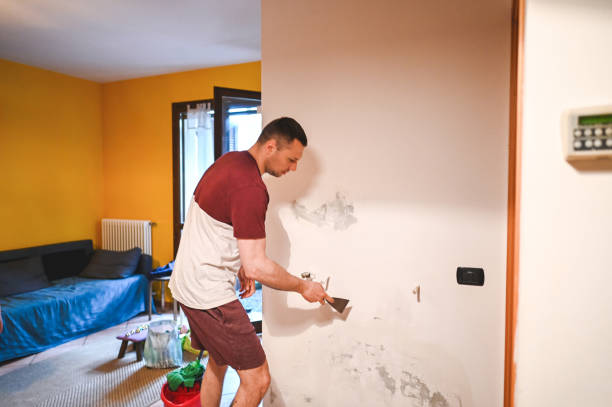 Best Commercial Mold Removal  in Henryetta, OK