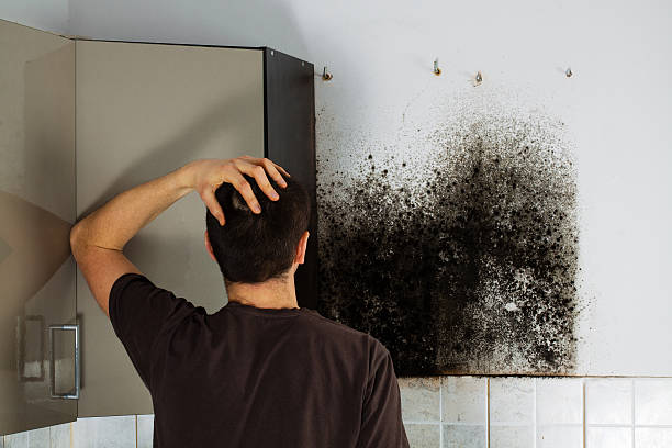 Best Mold Remediation Services  in Henryetta, OK